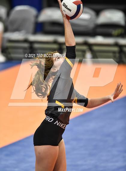 Thumbnail 1 in Hackett vs. Paris (AAA 3A Final) photogallery.