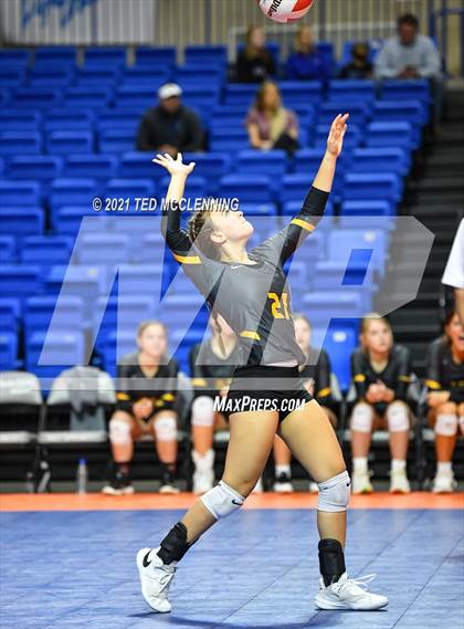 Thumbnail 1 in Hackett vs. Paris (AAA 3A Final) photogallery.