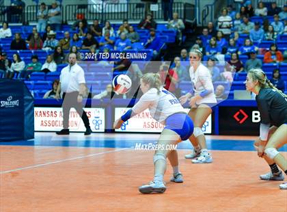 Thumbnail 3 in Hackett vs. Paris (AAA 3A Final) photogallery.