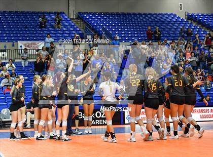 Thumbnail 1 in Hackett vs. Paris (AAA 3A Final) photogallery.