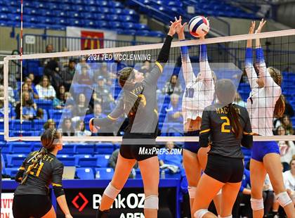 Thumbnail 3 in Hackett vs. Paris (AAA 3A Final) photogallery.