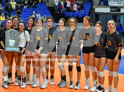 Thumbnail 1 in Hackett vs. Paris (AAA 3A Final) photogallery.