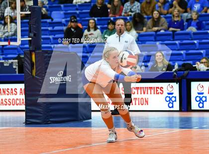 Thumbnail 1 in Hackett vs. Paris (AAA 3A Final) photogallery.