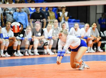 Thumbnail 3 in Hackett vs. Paris (AAA 3A Final) photogallery.