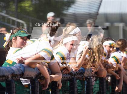 Thumbnail 3 in Lampeter-Strasburg vs Penn-Trafford (PIAA 5A Championship) photogallery.