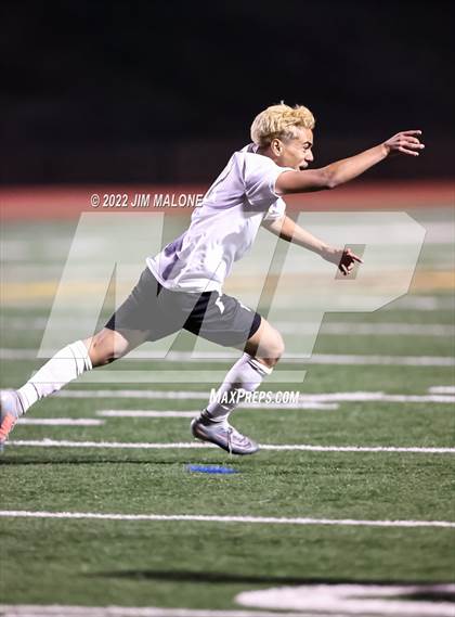 Thumbnail 1 in Branham vs. Watsonville (CIFCCS Open Div. Final) photogallery.
