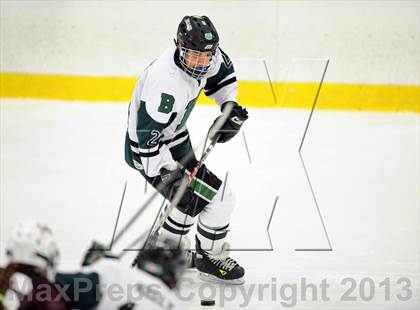 Thumbnail 2 in Scarsdale @ Brewster photogallery.