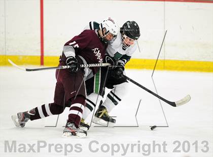 Thumbnail 2 in Scarsdale @ Brewster photogallery.