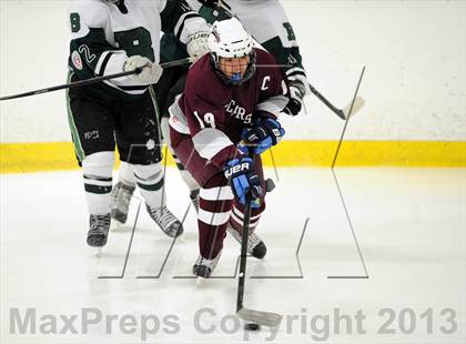 Thumbnail 1 in Scarsdale @ Brewster photogallery.