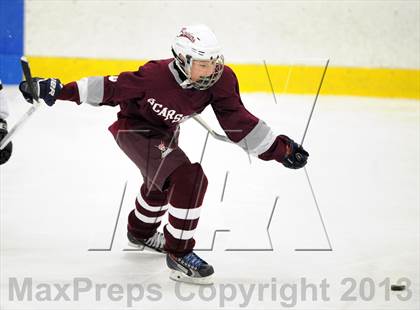 Thumbnail 3 in Scarsdale @ Brewster photogallery.