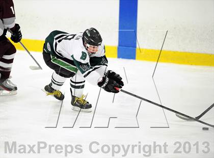 Thumbnail 1 in Scarsdale @ Brewster photogallery.