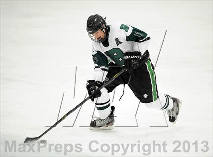 Thumbnail 2 in Scarsdale @ Brewster photogallery.
