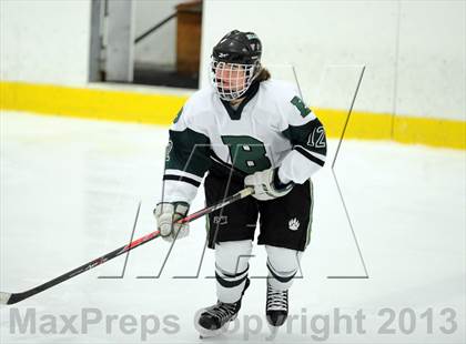 Thumbnail 3 in Scarsdale @ Brewster photogallery.