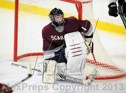 Thumbnail 2 in Scarsdale @ Brewster photogallery.