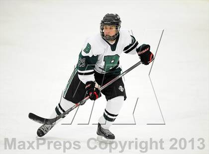 Thumbnail 3 in Scarsdale @ Brewster photogallery.