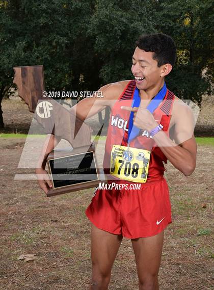Thumbnail 1 in CIF State Cross Country Championships (Boys Awards) photogallery.