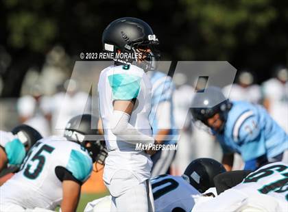 Thumbnail 2 in Contreras vs Marshall photogallery.