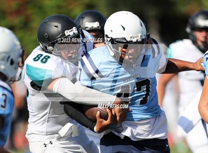 Thumbnail 1 in Contreras vs Marshall photogallery.