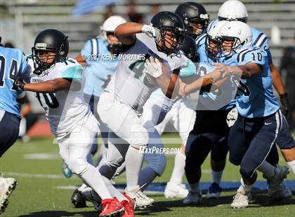 Thumbnail 3 in Contreras vs Marshall photogallery.