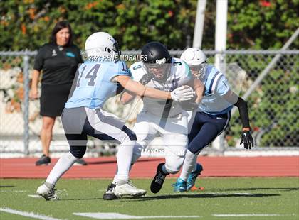 Thumbnail 3 in Contreras vs Marshall photogallery.