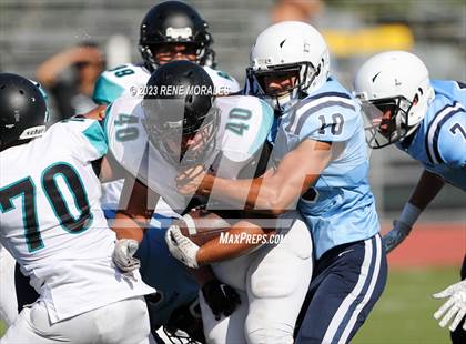 Thumbnail 3 in Contreras vs Marshall photogallery.