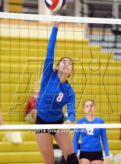 Thumbnail 2 in Tamalpais vs. Cardinal Newman (Nor-Cal Invitational) photogallery.