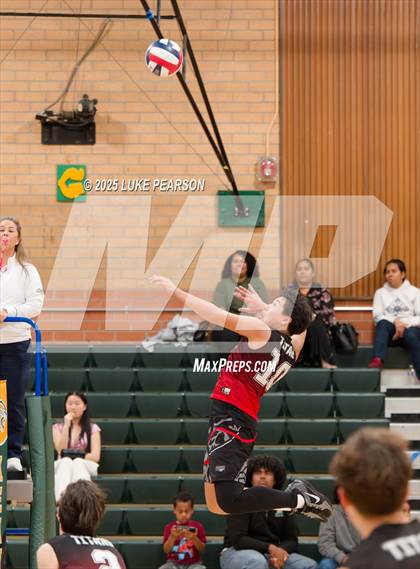 Thumbnail 3 in Antelope @ Kennedy photogallery.