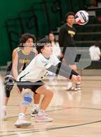 Photo from the gallery "Antelope @ Kennedy"