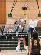 Photo from the gallery "Antelope @ Kennedy"