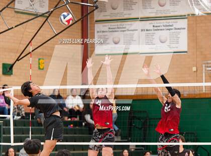 Thumbnail 3 in Antelope @ Kennedy photogallery.