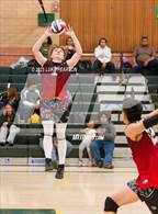 Photo from the gallery "Antelope @ Kennedy"