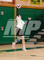 Photo from the gallery "Antelope @ Kennedy"