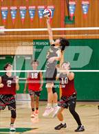 Photo from the gallery "Antelope @ Kennedy"