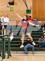 Photo from the gallery "Antelope @ Kennedy"