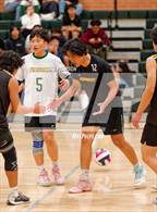 Photo from the gallery "Antelope @ Kennedy"