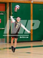 Photo from the gallery "Antelope @ Kennedy"
