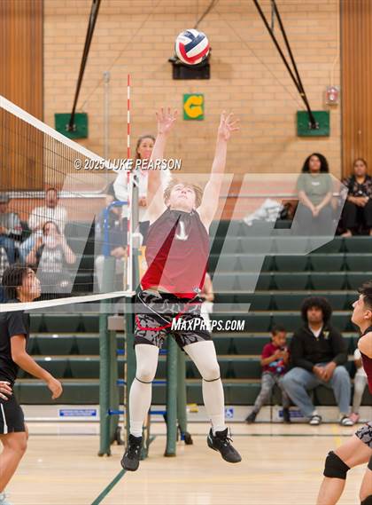Thumbnail 2 in Antelope @ Kennedy photogallery.