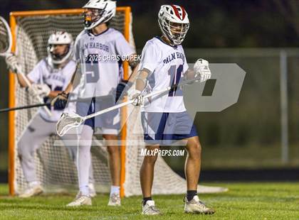 Thumbnail 3 in Calvary Christian @ Palm Harbor University photogallery.