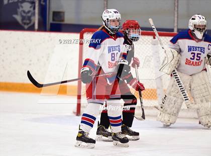 Thumbnail 1 in New Canaan @ West Haven/SHA photogallery.