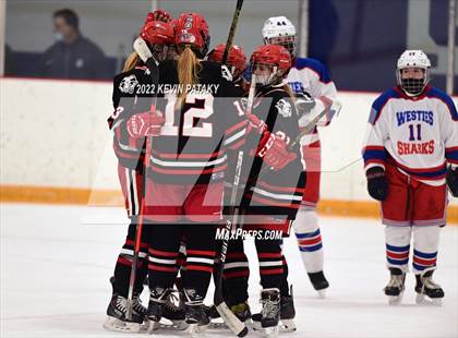Thumbnail 3 in New Canaan @ West Haven/SHA photogallery.