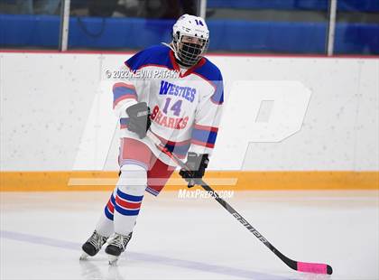 Thumbnail 3 in New Canaan @ West Haven/SHA photogallery.