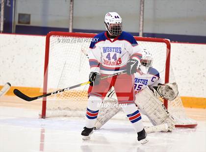 Thumbnail 1 in New Canaan @ West Haven/SHA photogallery.
