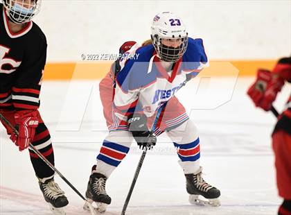 Thumbnail 3 in New Canaan @ West Haven/SHA photogallery.
