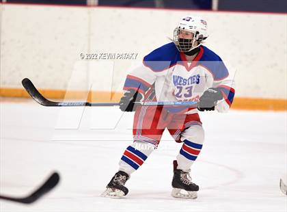 Thumbnail 3 in New Canaan @ West Haven/SHA photogallery.