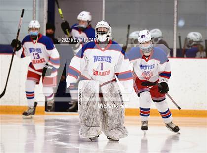 Thumbnail 3 in New Canaan @ West Haven/SHA photogallery.