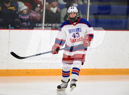 Thumbnail 1 in New Canaan @ West Haven/SHA photogallery.