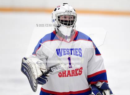 Thumbnail 2 in New Canaan @ West Haven/SHA photogallery.