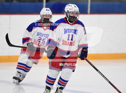Thumbnail 3 in New Canaan @ West Haven/SHA photogallery.