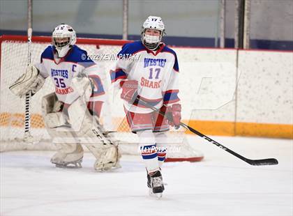 Thumbnail 3 in New Canaan @ West Haven/SHA photogallery.