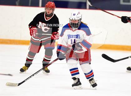 Thumbnail 3 in New Canaan @ West Haven/SHA photogallery.